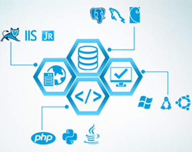 Software Development Services