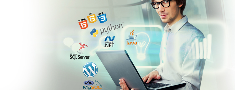 Web Development Services